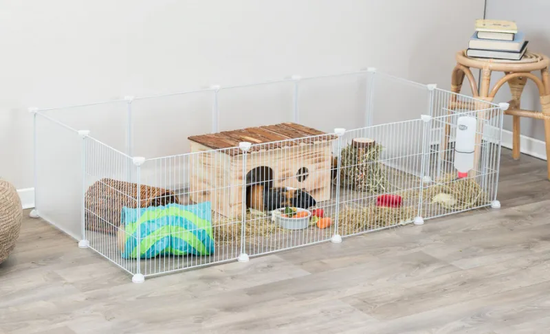 Indoor Freilaufgehege